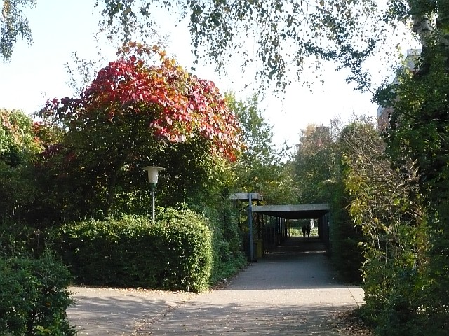 Zwischen Pausenhalle, Fachtrakt und Mittelstufe im Grünen